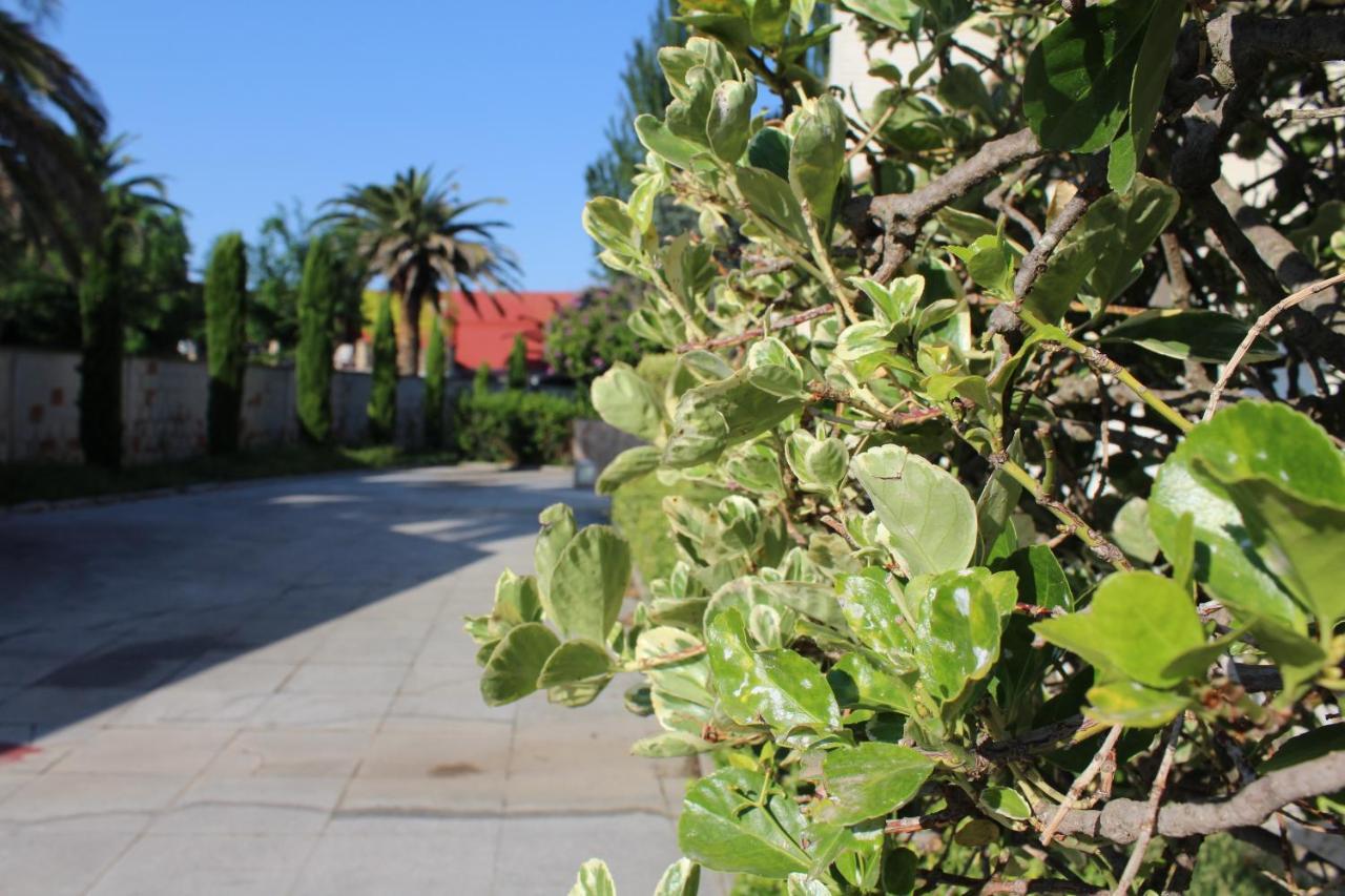 Casa Rural Villa Verde Tudela Εξωτερικό φωτογραφία